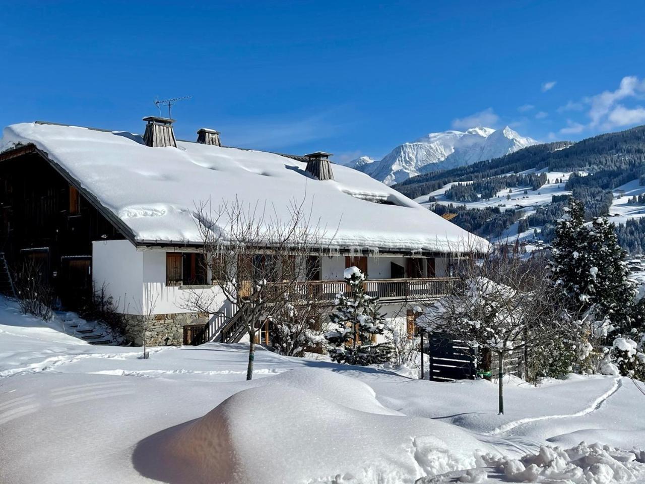 Chalet A Megeve-Vauvray - Grands Appartements , Vue Mont Blanc Demi-Quartier エクステリア 写真