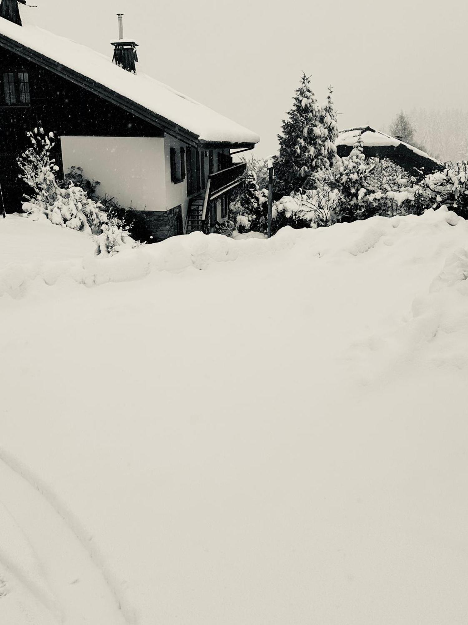 Chalet A Megeve-Vauvray - Grands Appartements , Vue Mont Blanc Demi-Quartier エクステリア 写真